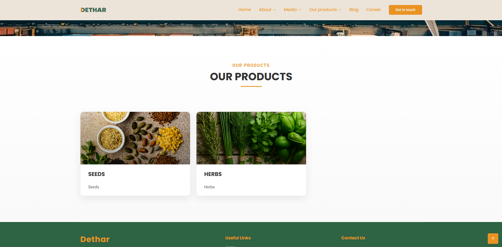 Website Design